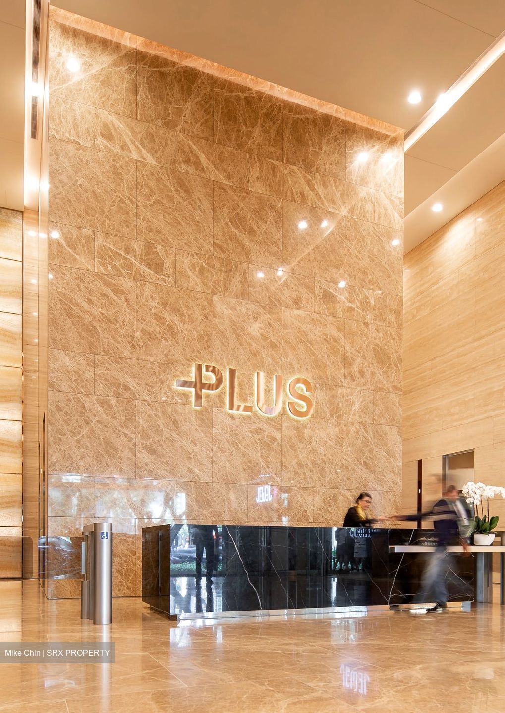 PLUS (D1), Office #452230451